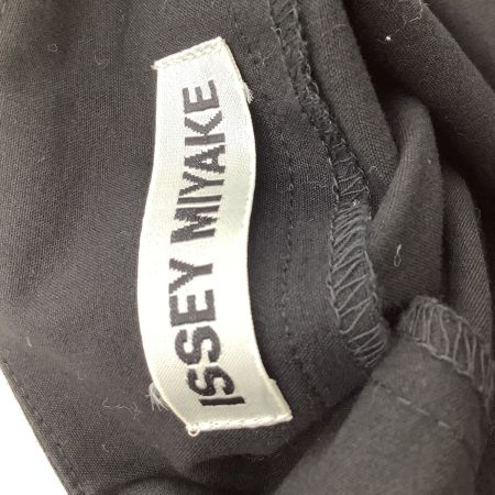 ISSEY MIYAKE イッセイミヤケ レディース スカート 前ファスナー SIZE 3 IM12FG069 ブラック