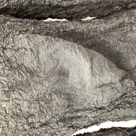 ISSEY MIYAKE イッセイミヤケ シワ加工 カットソー SIZE 2 IM04FJ948 グレー