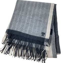 ANNA SUI アナスイ レディース ストール マフラー グレー×ベージュ Bランク