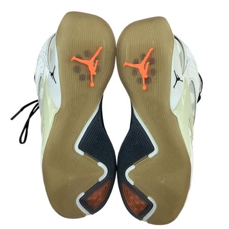 NIKE ナイキ メンズ 未使用 エア ジョーダン ルカ 2 トリックショット  SIZE 25cm DZ3498 ココナッツミルク