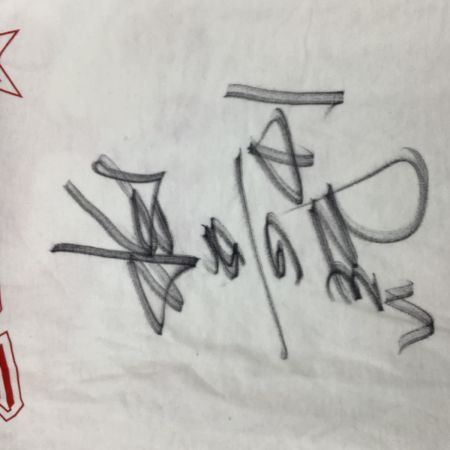 FIGHTERS 日本ハムファイターズ 稲葉篤紀  限定Tシャツ サイン入り SIZE L ホワイト