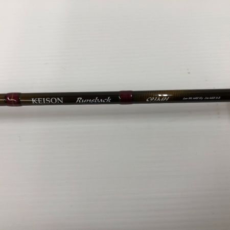  tailwalk テイルウォーク ロッド　ケイソン ランズバック C93MH