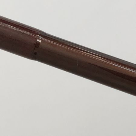  VISION ロッド　SWITCH