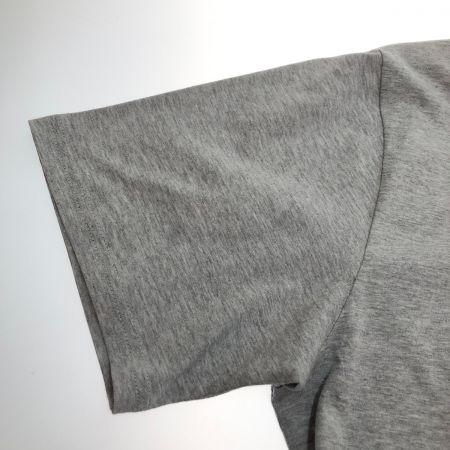  MOUNTAIN HARD WEAR マウンテン ハード ウェア ベアフラッグショートスリーブT Ｌサイズ OM9491-057 ライトグレー