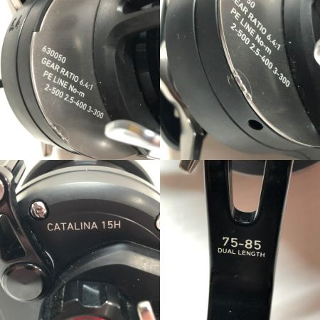  DAIWA ダイワ 釣り ベイトリール 　19CATALINA 15H  00630050
