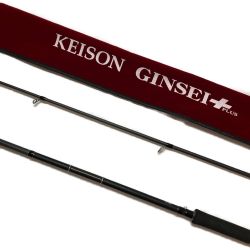 □□ tailwalk テイルウォーク KEISON GINSEI PLUS 106H  17181 Bランク