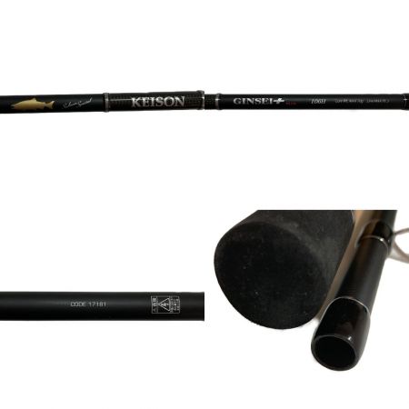  tailwalk テイルウォーク KEISON GINSEI PLUS 106H  17181