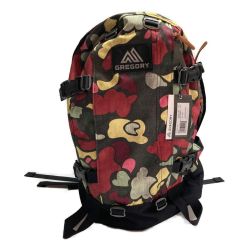 □□ GREGORY グレゴリ バックパック リュックサック 65190-7202 ガーデンカモ Sランク
