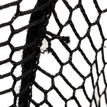  SAURUS ザウルス ランディングネット　　