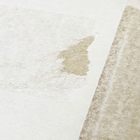  snowpeak スノーピーク 焚き火台SR アウトドア焼き台 ST-021