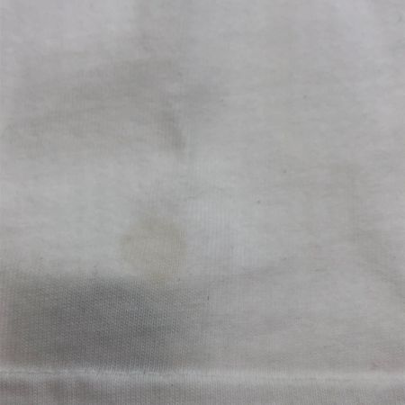  BUZZ RICKSON'S バズ リクソンズ Tシャツ SIZE L 古着 ホワイト