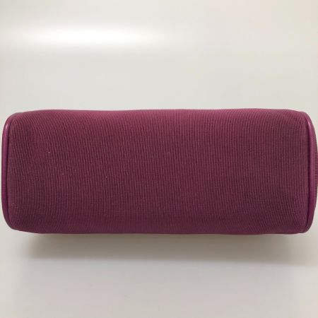  Salvatore Ferragamo サルヴァトーレフェラガモ ヴァラリボン コスメポーチ 本体のみ パープル