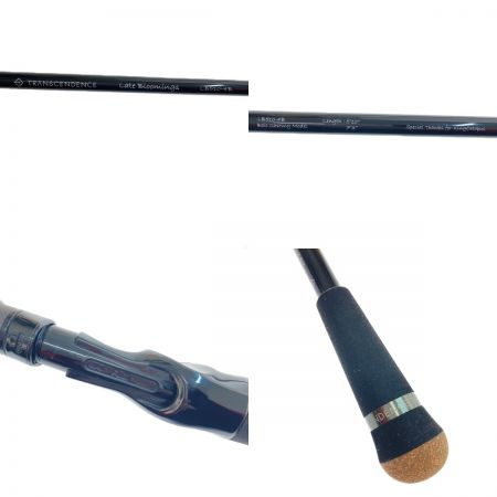  TRANSCENDENCE ロッド　レイトブルーミングス 510GT-B