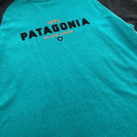  Patagonia パタゴニア 長袖Tシャツ Mサイズ 39484SP17 グリーン×グレー