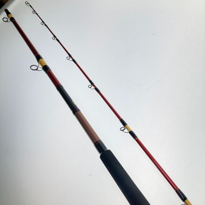 ダイワ　ディープゾーン 200-210 X45 4960652217873_7.jpg