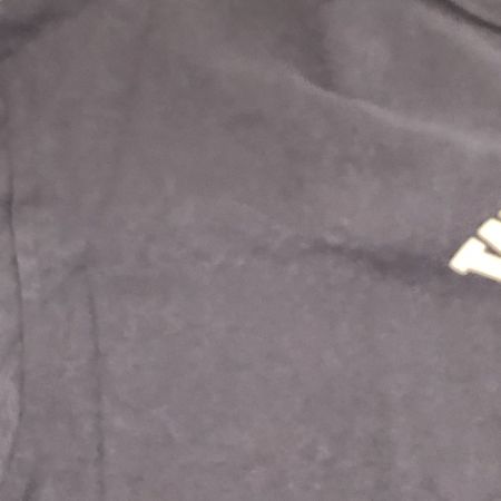  warehouse ウェアハウス Tシャツ SIZE XL 古着 グレー