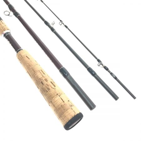  Fishman フィッシュマン ロッド　ブリストゴーテン BC4 5.10 MXH