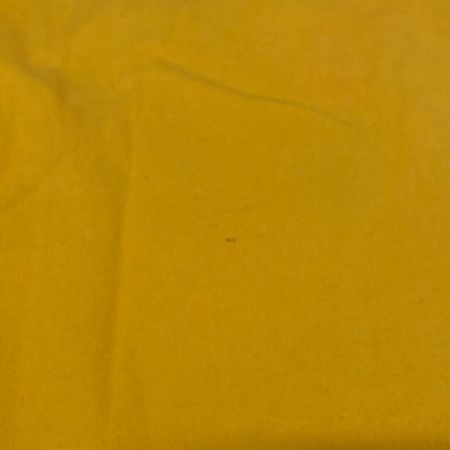  X-LARGE エクストララージ 半袖Tシャツ Mサイズ 0102139 イエロー