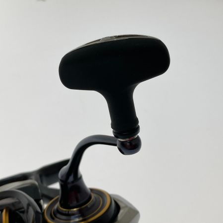  DAIWA ダイワ 21カルディアLT3000-CXH 3063190