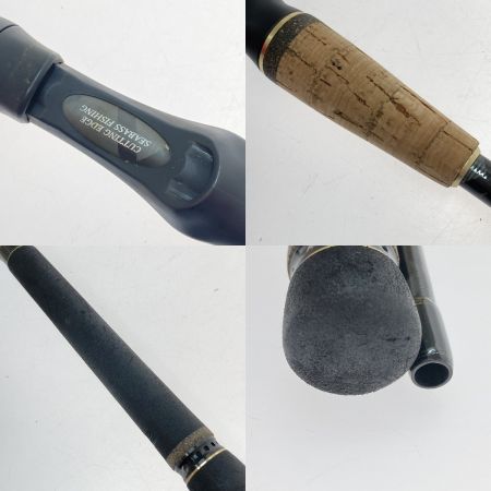  Abu Garcia アブガルシア ソルティーステージ KR-X シーバス SXSC-962ML-KR