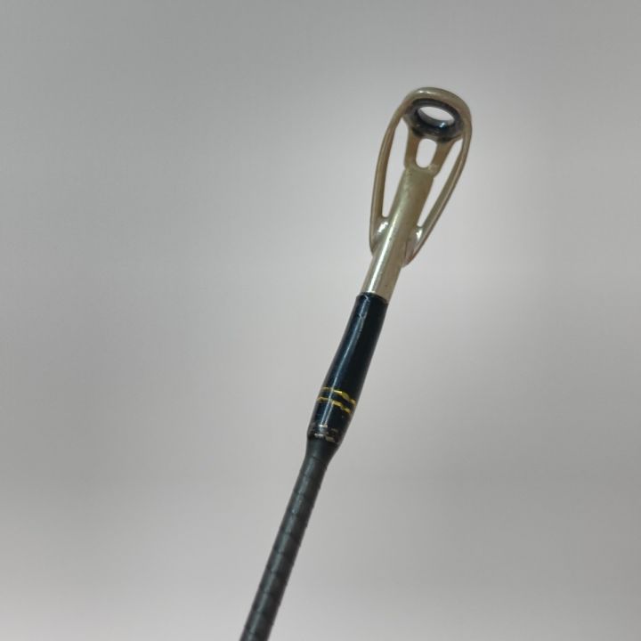 Abu Garcia アブガルシア ソルティーステージ KR-X シーバス SXSC