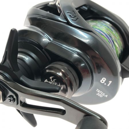  DAIWA ダイワ 21 タトゥーラ TW 300XHL 左巻き ベイトリール TW300XHL