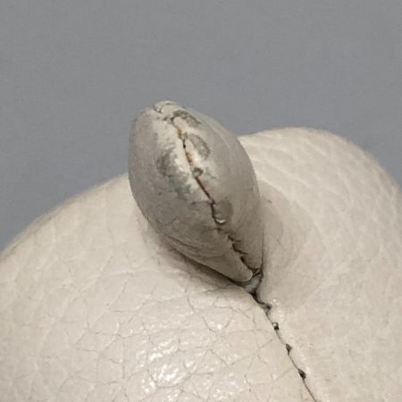  COACH コーチ スヌーピー キーホルダー チャーム アイボリー系