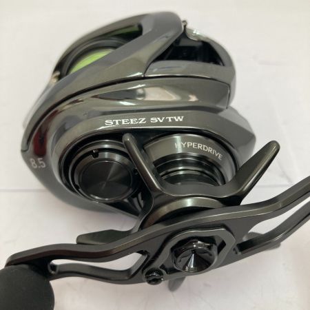  DAIWA ダイワ 24STEEZ(スティーズ) SV TW 100XH 右ハンドル 00630314