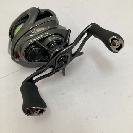  DAIWA ダイワ 24STEEZ(スティーズ) SV TW 100XH 右ハンドル 00630314