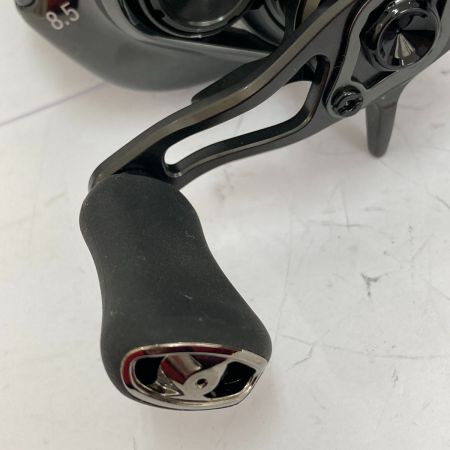  DAIWA ダイワ 24STEEZ(スティーズ) SV TW 100XH 右ハンドル 00630314