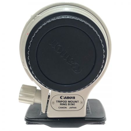  CANON キャノン 高倍率望遠ズームレンズ EF100-400mm Ｆ4.5-5.6L IS USM