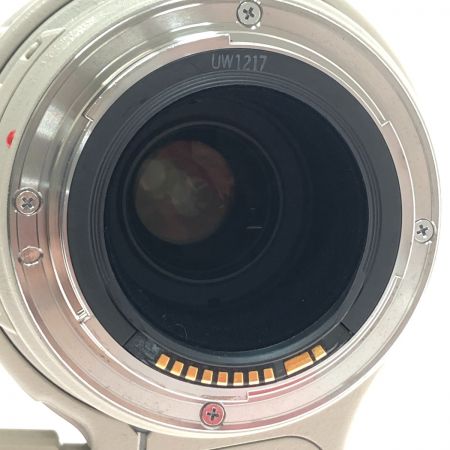  CANON キャノン 高倍率望遠ズームレンズ EF100-400mm Ｆ4.5-5.6L IS USM