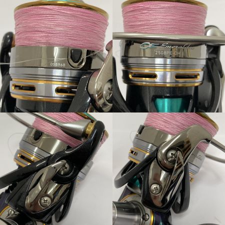  DAIWA ダイワ 12エメラルダス 2508PE-DH 055968