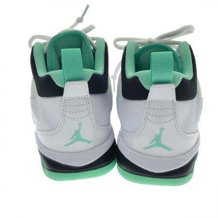  NIKE ナイキ バスケットシューズ　ジョーダン ステイ ロイヤル 3 　26ｃｍ FB1396-103 ホワイト×グリーン