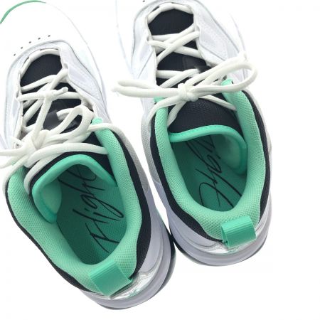  NIKE ナイキ バスケットシューズ　ジョーダン ステイ ロイヤル 3 　26ｃｍ FB1396-103 ホワイト×グリーン