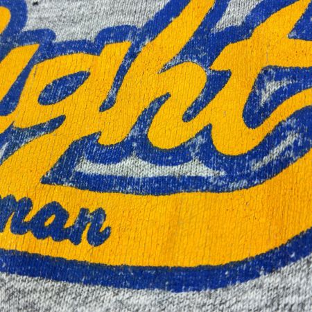  80s Champion Tシャツ SIZE M 古着 トリコタグ後期 グレー