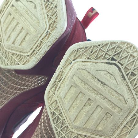  NIKE ナイキ スニーカー　レブロン13　27cm 807219-690 エンジ