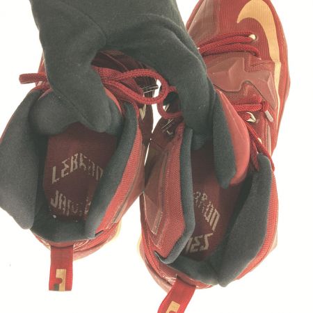  NIKE ナイキ スニーカー　レブロン13　27cm 807219-690 エンジ