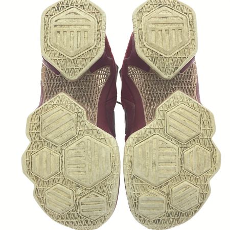  NIKE ナイキ スニーカー　レブロン13　27cm 807219-690 エンジ