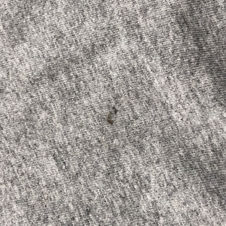  THE NORTH FACE ザノースフェイス 長袖Tシャツ ロンT カットソー パープルレーベル ロングスリーブ SIZE L NT3961N ライトグレー