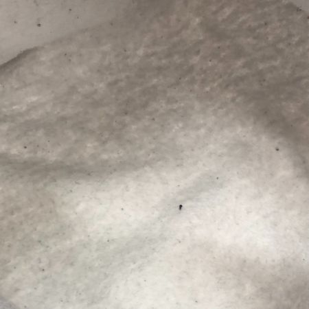  90s Lee パーカー プルオーバーパーカー 古着 ライトグレー