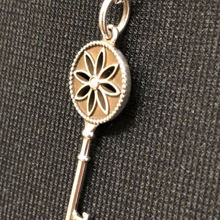  Tiffany & Co. ティファニー ネックレス デイジーフラワー SILVER925 46cm