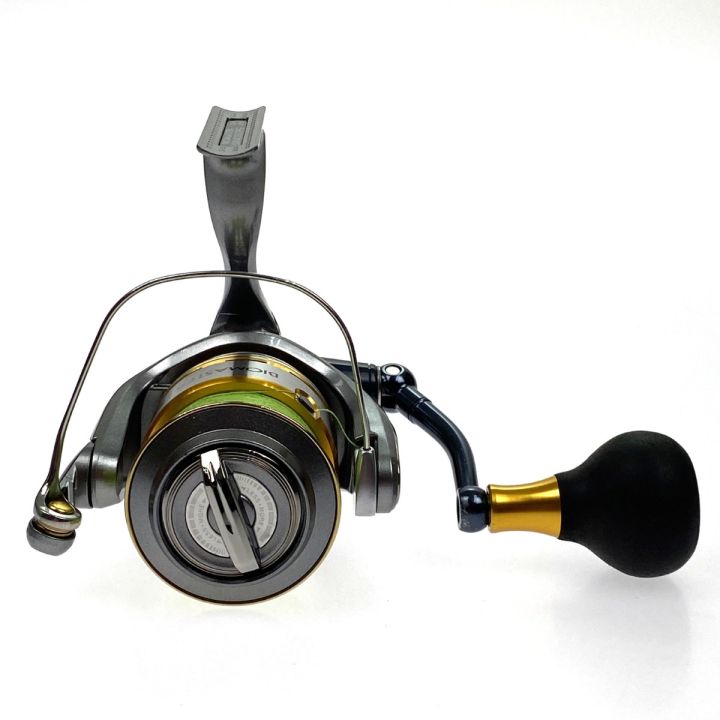 SHIMANO 10 BIOMASTER SW4000PG スピニングリール 【公式通販】