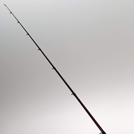  レジットデザイン ロッド　ワイルドサイド　WSC-G62L WSC-G62L