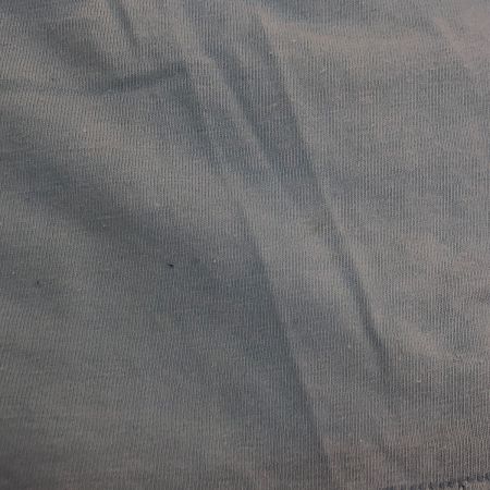  AVIREX アビレックス Tシャツ 古着 スカイブルー
