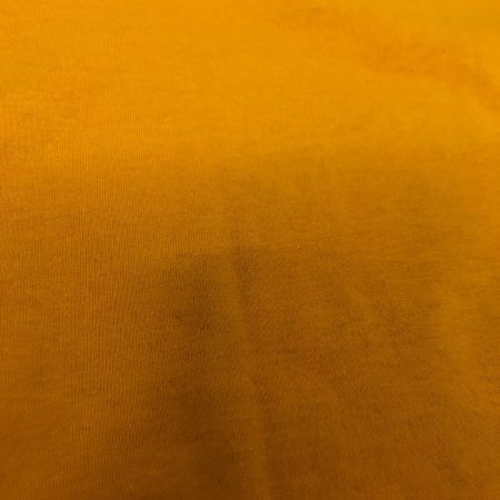  90s FRUIT OF THE LOOM Tシャツ SIZE S 古着 イエロー