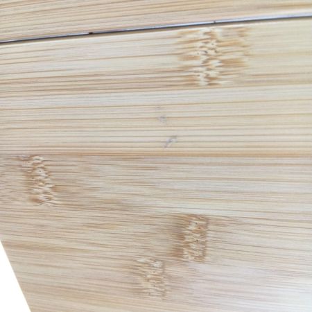  CHUMS チャムス バンブーテーブル100