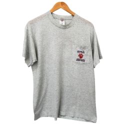 □□ 90s FRUIT OF THE LOOM Tシャツ SIZE L 古着 ライトグレー Cランク