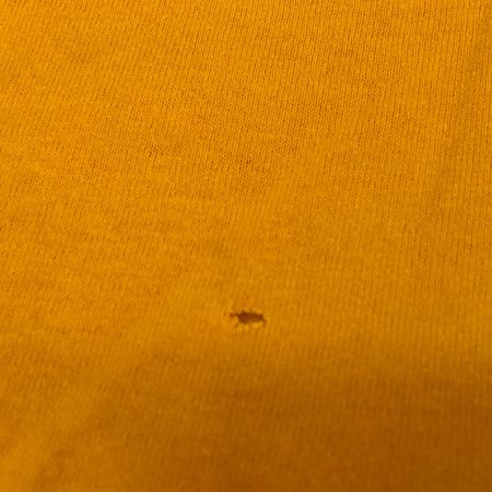  90s FRUIT OF THE LOOM Tシャツ SIZE M 古着 イエロー