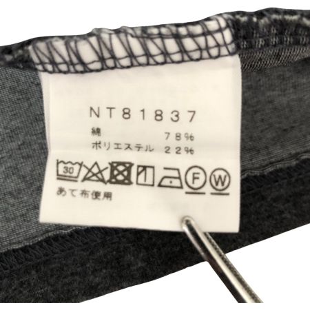  THE NORTH FACE ザノースフェイス Tシャツ 長袖Tシャツ ボーダー SIZE M NT81837 グレー×ネイビー